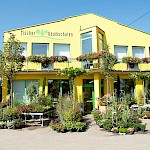 Fischer Baumschulen Mülheim-Kärlich